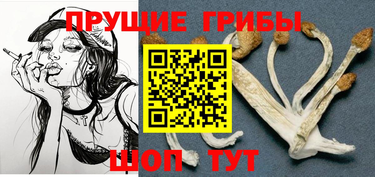 Галлюциногенные грибы Magic Shrooms Ростов Великий