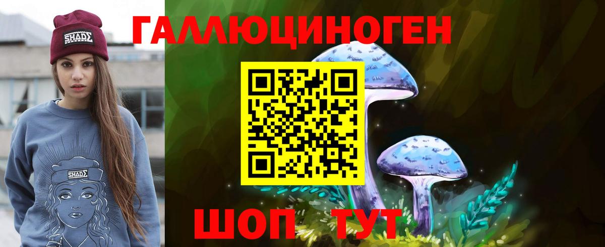Псилоцибиновые грибы мухоморы  Вход с VPN  где купить наркоту  Ростов Великий  Галлюциногенные грибы Psilocybe 